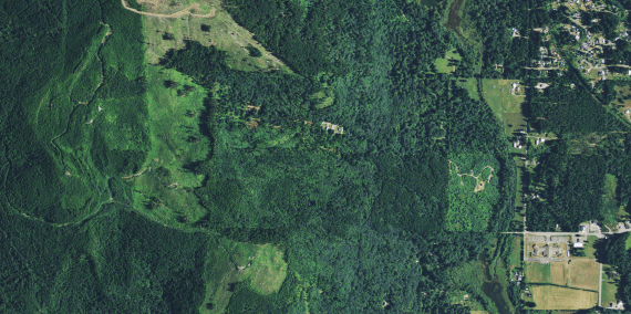 Aerial photograph of forested hillside and farmland on the east side of Sumas Mountain, Washington, where the landslide is hidden under the tree canopy
